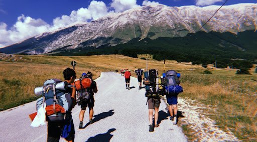 sondaggio sugli scout